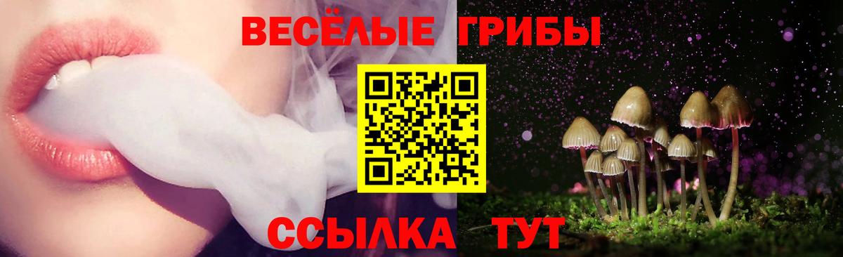 Галлюциногенные грибы мицелий Малоярославец